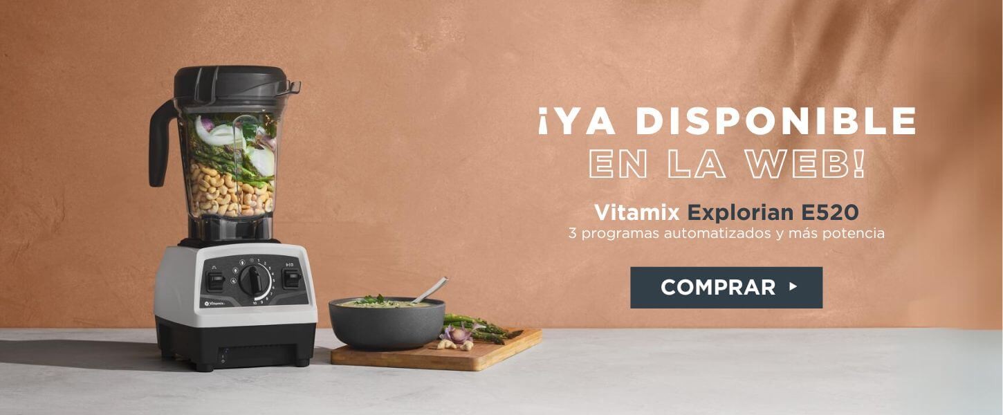 vitamix explorian e520